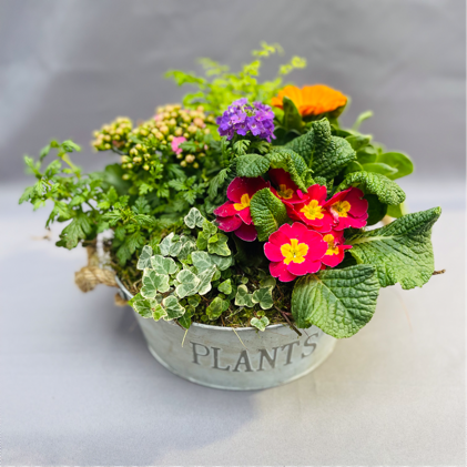 A mixed planter