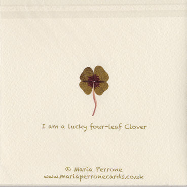 Lucky four-leaf Clover